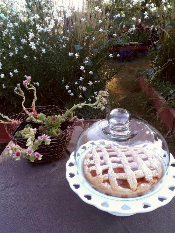 Bed and Breakfast Giardino Della Moscatella Альтамура Екстер'єр фото